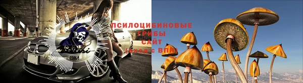 круглые Новокубанск