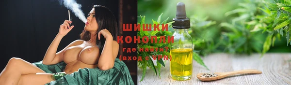 ECSTASY Новозыбков