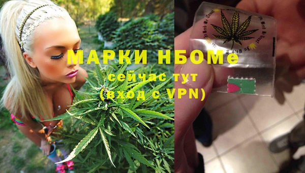 ECSTASY Новозыбков