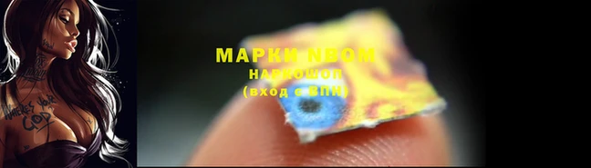 дурь Новодвинск