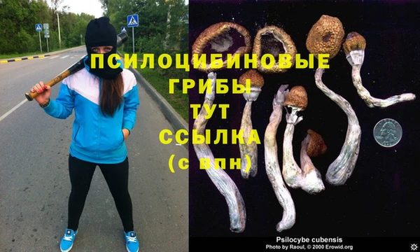 дурь Новодвинск