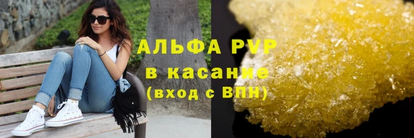 ECSTASY Новозыбков