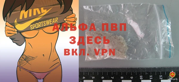 ECSTASY Новозыбков