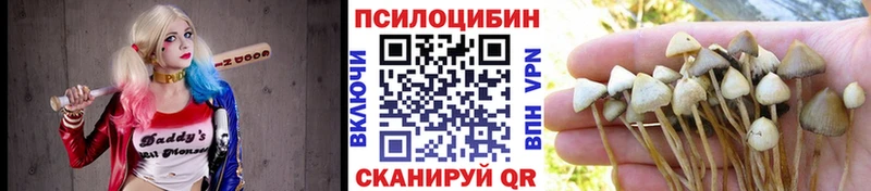 Галлюциногенные грибы Cubensis наркота Анжеро-Судженск