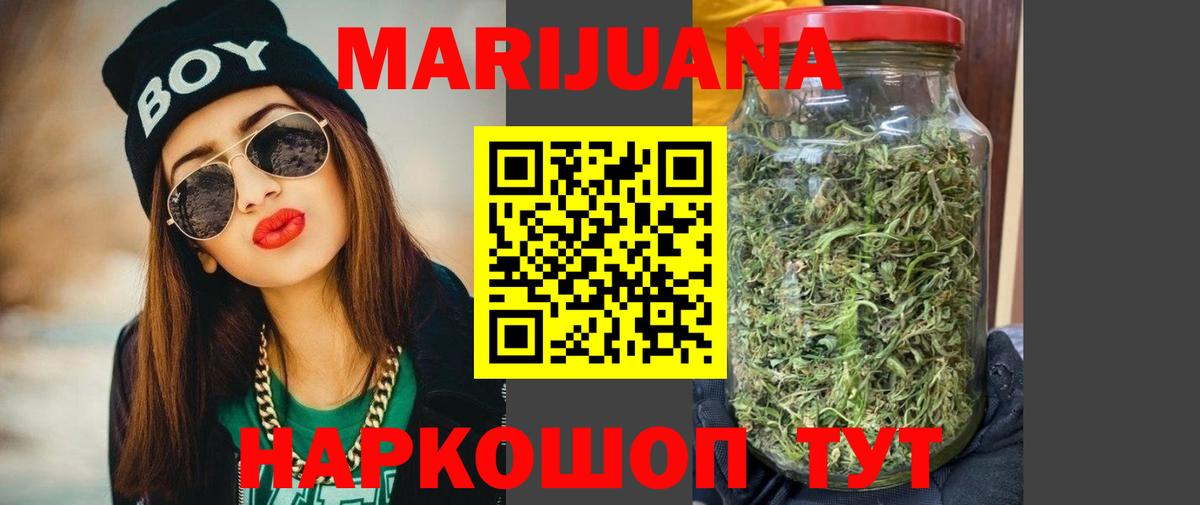Конопля гибрид Анжеро-Судженск